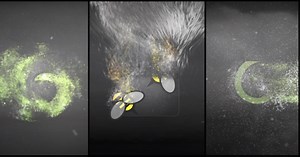 Hurricane/Wind Logo Pack
