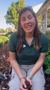 Do you believe in mulch magic? ✨This is the 1 garden hack that will transform your garden game from the ground up. Here’s how to mulch successfully: 🍃 spread a 3-4 inch thick layer over any exposed soil to reap the rewards. 🌿 the larger the chunks the slower it will break down. So for high traffic areas use a patio or walk on bark, and for annual veggie gardens use a shredded mulch. 🍃 Reapply mulch annually to keep the cycle of benefits going. The bark slowly breaks down and turns into organi