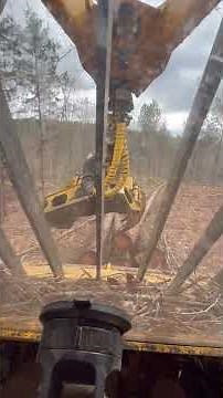 Bell Ultra C Feller buncher…Whacking and Stacking!!