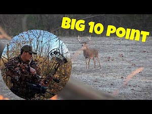 BOW HUNTING OHIO BIG 10 POINT | IN THE TREE FOR 5min