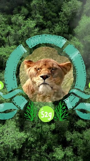 Alipay Ant Forest: 5 Years of Green Initiatives | TikTok