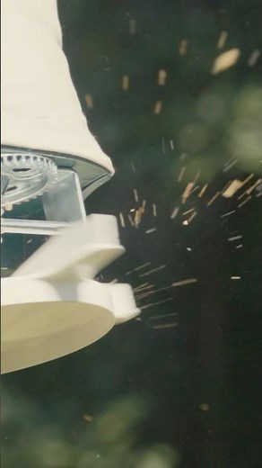 The Best Seed Mix for Your Deer Food Plot