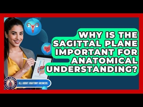 Why Is The Sagittal Plane Important For Anatomical Understanding? - All About Anatomy Answers