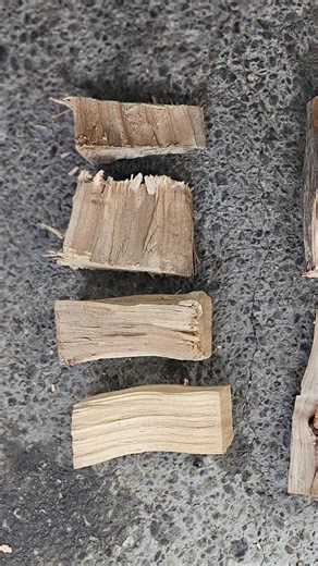 What’s the best WOOD SIZE for your Oklahoma Joe’s Offset Smoker? Should you use chunks, small splits, or big splits on your Oklahoma Joe’s offset smoker? Steve Gow from @smoketrailsbbq tests it out and smokes some delicious PORK CHEEKS while he’s at it. Pork Cheeks on an Offset Smoker @smoketrailsbbq TOTAL SERVINGS: 4 PREP TIME: 15 min COOK TIME: 8 hours INGREDIENTS * Your favorite rub * 4 Pork Cheeks * 2 cups butter or ghee THE COOK (8 hours) * Preheat smoker to 275 f * Season pork cheeks with 
