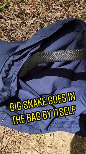 Big Snake Goes in the Bag by Itself