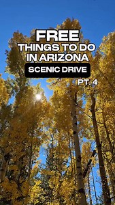 2.1K views · 127 reactions | THE BEST FALL SCENIC DRIVE -Snowbowl...