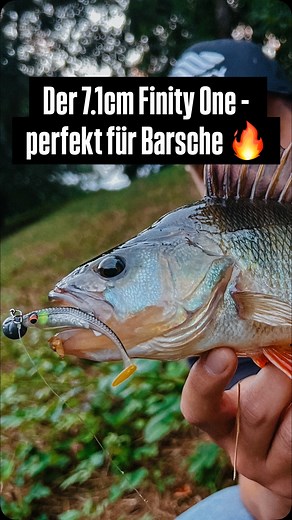 Finity Fishing on Instagram: "Der 7.1cm Finity One ist der perfekte Köder für Barsche  Mit seinem leicht flankendem Lauf und der Glitzertasche, die immer wieder Akzente setzt, macht er die Stachelritter komplett verrückt!  #finityone #barsch #barschangeln"