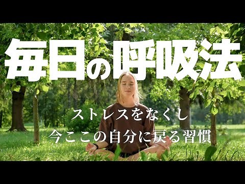 【誘導瞑想】毎日の呼吸法 心を整える習慣 リラックス 安眠 マインドフルネス瞑想ガイド