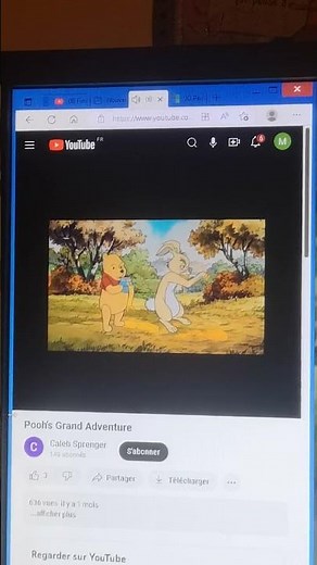 Pooh's Grand Adventure