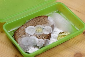 Der "Butterbrot-Mörder" von Bielefeld ist vielleicht Deutschlands unheimlichster Serienmörder