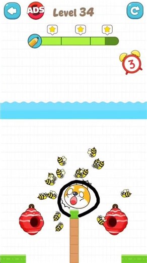 save the pets level 34