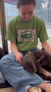 WANT TO PLAY WITH OUR OTTERS!AnimalEDventures.com Presents 🦦Behind The Scenes VIP Tour🦘The Ultimate Animal Experience! 🦓✨ Sit on the floor and PLAY with these playful cuties! Get once-in-a-lifetime photos, learn their unique stories, and at the end… HOLD AN OTTER in your arms! ❤️But that’s just the beginning of this WILD adventure!🎯 What’s included in your VIP Tour?✅ Feed & Meet Our Capybaras & Their Babies✅ Bottle Feed & Hold Baby Kangaroos✅ Hand-Feed Our Porcupines✅ Sloth Encounters & Kang