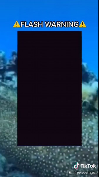 Tysm for 90k followers!!✨💖 #foryou #fypシ #viral #goviral #CapCut #FW #⚠️ #freeoverlay