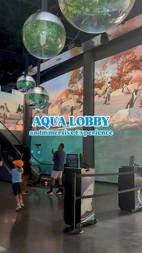 7.5K views · 100 reactions | Introducing the NEW immersive Aqua Lobby at OdySea Aquarium! 朗 This one-of-a-kind 360° digital projection mapping experience surrounds visitors with vibrant marine life, ambient ocean sounds, and the breathtaking illusion of being submerged in the heart of the sea. Come and see for yourself! Plan your next visit now  https://www.odyseaaquarium.com/plan-your-visit/ | OdySea Aquarium | Facebook
