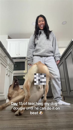 Teaching My Dog to Dougie: Day 15 Progress