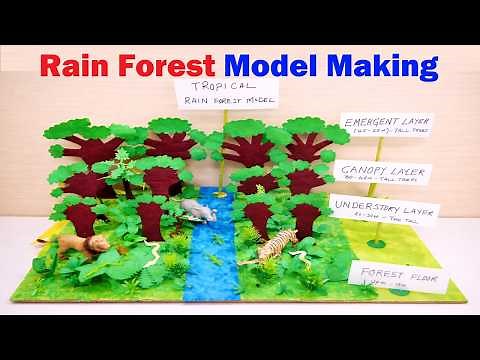 rain forest model making using cardboard | diy | science project | best out of waste | howtofunda