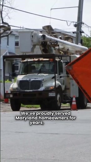 Professional Tree Trimming in Pasadena MD | Elmer's Tree Service