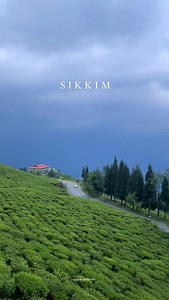 TEMI TEA GARDEN 🌱 . . . #Tea #natural #fresh #mindrelaxing #weather #demand #hot #sugar #milk #amazing #beauty #beautiful #explore #flowers #hills #instagram #love #mountains #nature #plants #reels #sikkim #trending #view #viralvideos #visit | Sikkim Tour