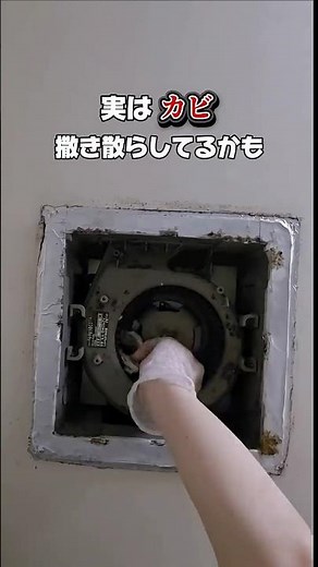 浴室換気扇掃除！5年以上住んでてはじめて開けたときの動画です😇換気扇が綺麗になるときれいな空気が循環するから気持ちもスッキリ#掃除#風呂換気扇#お風呂掃除#浴室換気扇掃除#風呂#換気扇掃除#浴室換気扇