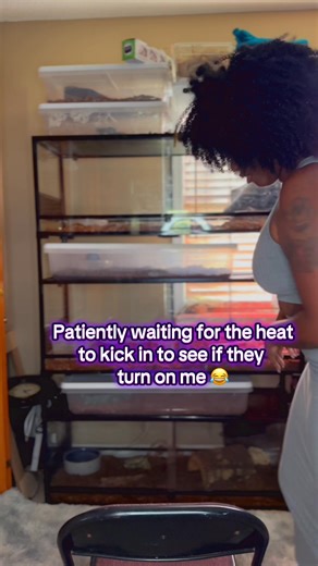 7K views · 37 reactions | Snakes don’t really go ‘in heat’ like dogs or cats do, and they don’t suddenly turn on their owners when it’s breeding season. What happens is some snakes may get more active or restless during breeding cycles, but they’re not looking at me as a mate or an enemy  TikTok: itsmedusaasf #funnyvideos #fblifestyle #contentcreator #medusaasf #fbreelsfypシ゚viralfbreelsfypシ゚viral #fbreelsfypシ゚ #fb | Medusa Medusaa | Facebook