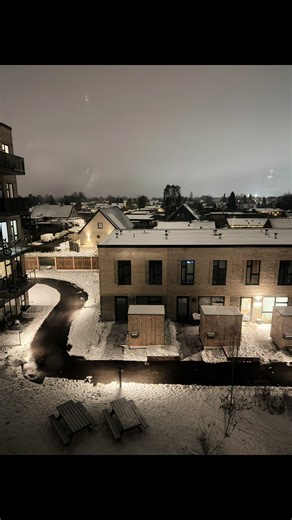 Captivating Winter Views from My Window in Denmark