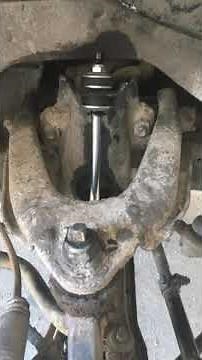 Webco shock absorbers on Hilux