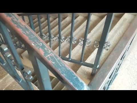 Ugandan blue movies , zina