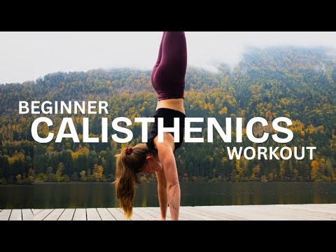 10 MIN Beginner Calisthenics Workout | Start Calisthenics from Home with No Equipment