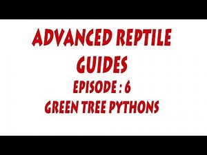 S'N'A Advanced Series : Episode - 6 Green Tree Pythons (Morelia viridis)