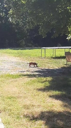 At Home Safe From The Heat Of The Matrix Road