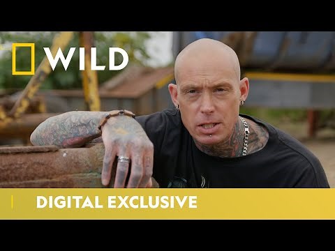 Freeing A 7-Foot-Long Forest Cobra | Snakes In The City | National Geographic WILD UK
