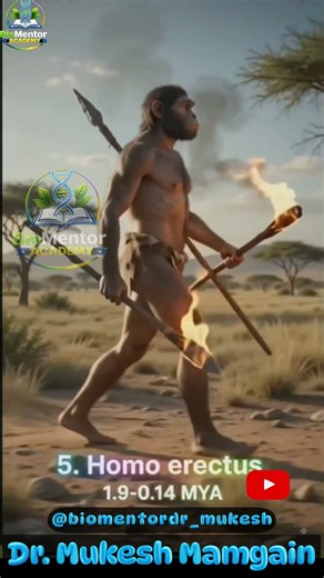 🧬 Human Evolution Explained | From Early Hominins to Homo sapiens | Animated Video 🦴🌍 #biology