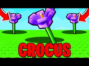 How To GET CROCUS & SHOWCASE In Grow A Garden! Roblox