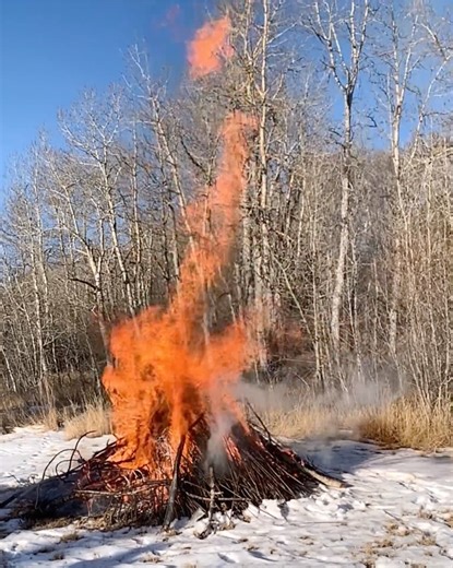 Mark Spragg on Instagram: "BURNING THE OLD YEAR BY Naomi Shihab Nye Letters swallow themselves in seconds. Notes friends tied to the doorknob, transparent scarlet paper, sizzle like moth wings, marry the air. So much of any year is flammable, lists of vegetables, partial poems. Orange swirling flame of days, so little is a stone. Where there was something and suddenly isn’t, an absence shouts, celebrates, leaves a space. I begin again with the smallest numbers. Quick dance, shuffle of losses and