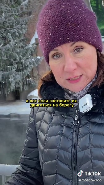 Московский зоопарк: морозоустойчивые животные