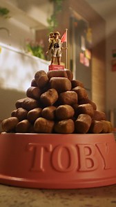 19K views · 35 reactions | Overwhelmed by endless pet product...