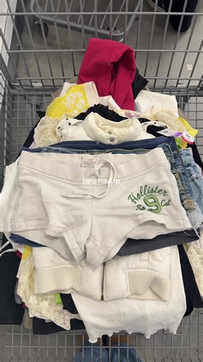 Exciting Goodwill Bins Haul for Depop Sale