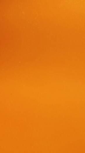 2.5K views · 11 reactions | Tuna Poke Nachos - Famously Fantastic! | Jimmy's Famous Seafood | Facebook