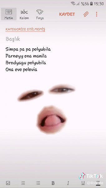 Exploring a Unique Mobile Interface Display