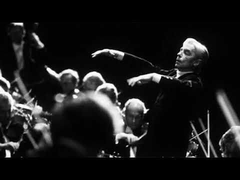 ライヴ録音 1982 ベートーヴェン 交響曲第9番 BPO&カラヤン