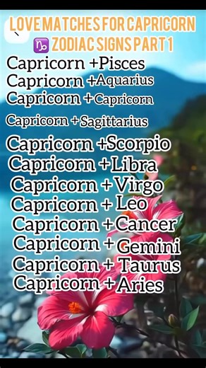 Love matches for the Capricorn ♑️ zodiac sign part 1 | Zodaic astro insightful
