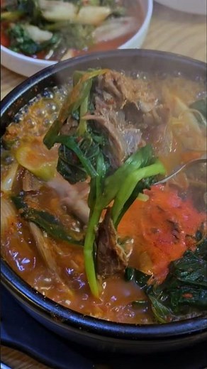흑염소탕 보양식 맛있게 #흑염소탕 #보양식