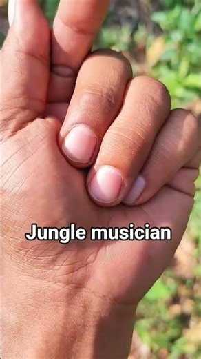 #insects #butterfly #nature #wildlife #bug #bass #music