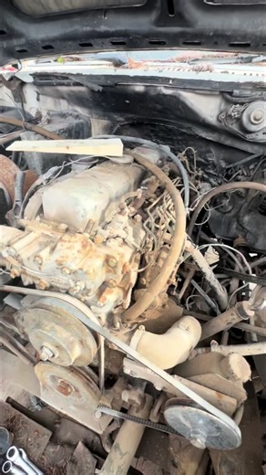 True north xxpeditions (@4difydford)’s video of diesel