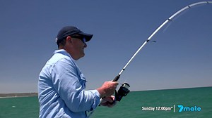 3.6K views · 23 reactions | Don't miss AFN ‘The Fishing Show’ this Sunday! | BCF - Boating, Camping, Fishing | Facebook