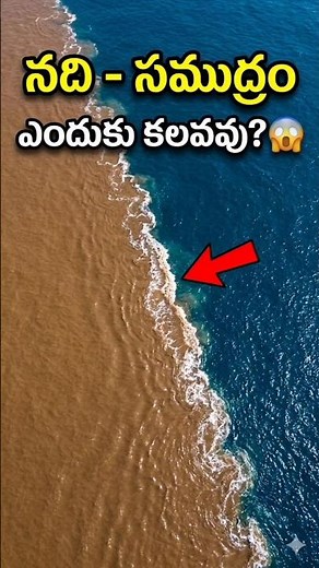 ఇది మ్యాజిక్ కాదు.. సైన్స్! 😲 నది సముద్రంలో కలిసే వింత దృశ్యం! 🔥