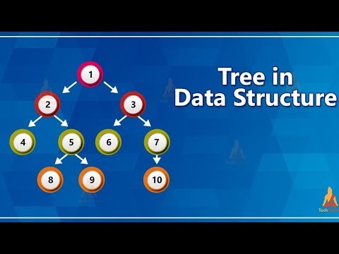 Tree Data Structure | مقدمة بسيطة في 5 دقايق