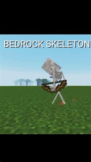 java vs bedrock skeleton 💀 #minecraft #shorts