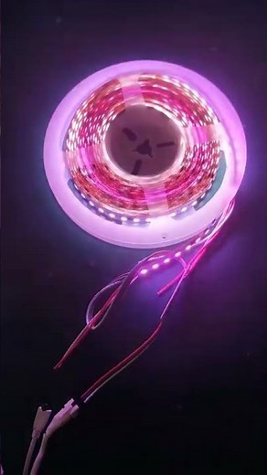 Digital, Pixel LED Strip Light - Chasing Effect - WS2811