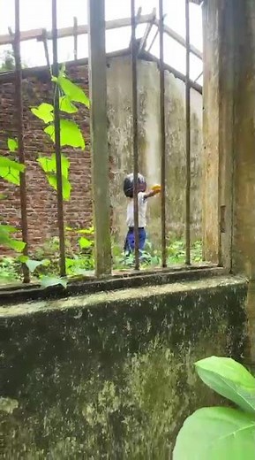 කොහොමද ☝💔පොඩි එකා #1fyp #dance #song #viral#yyyyyyyyyyyyyy